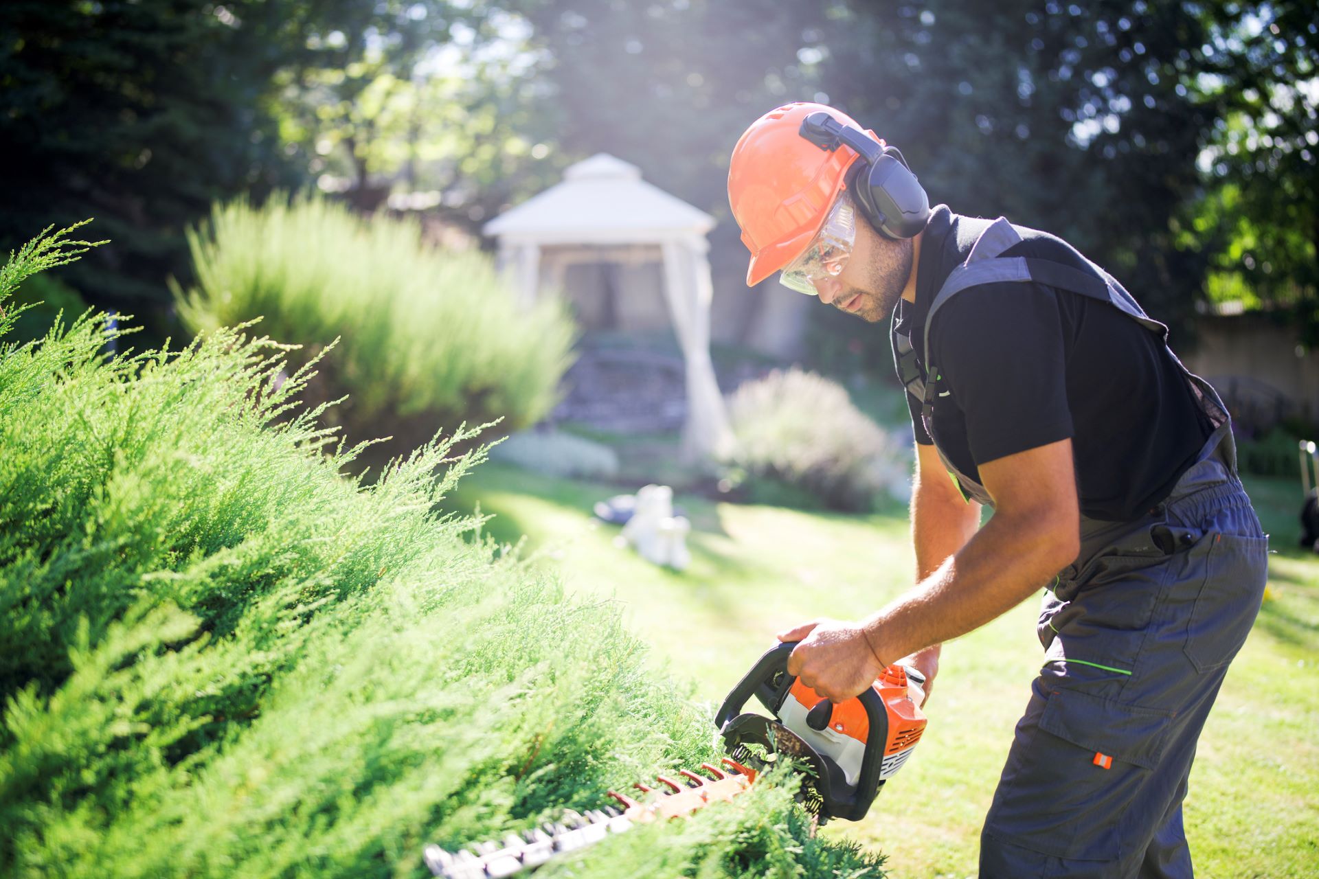 Grünpflege und Gartenpflege in Mülheim an der Ruhr Gebäudedienste