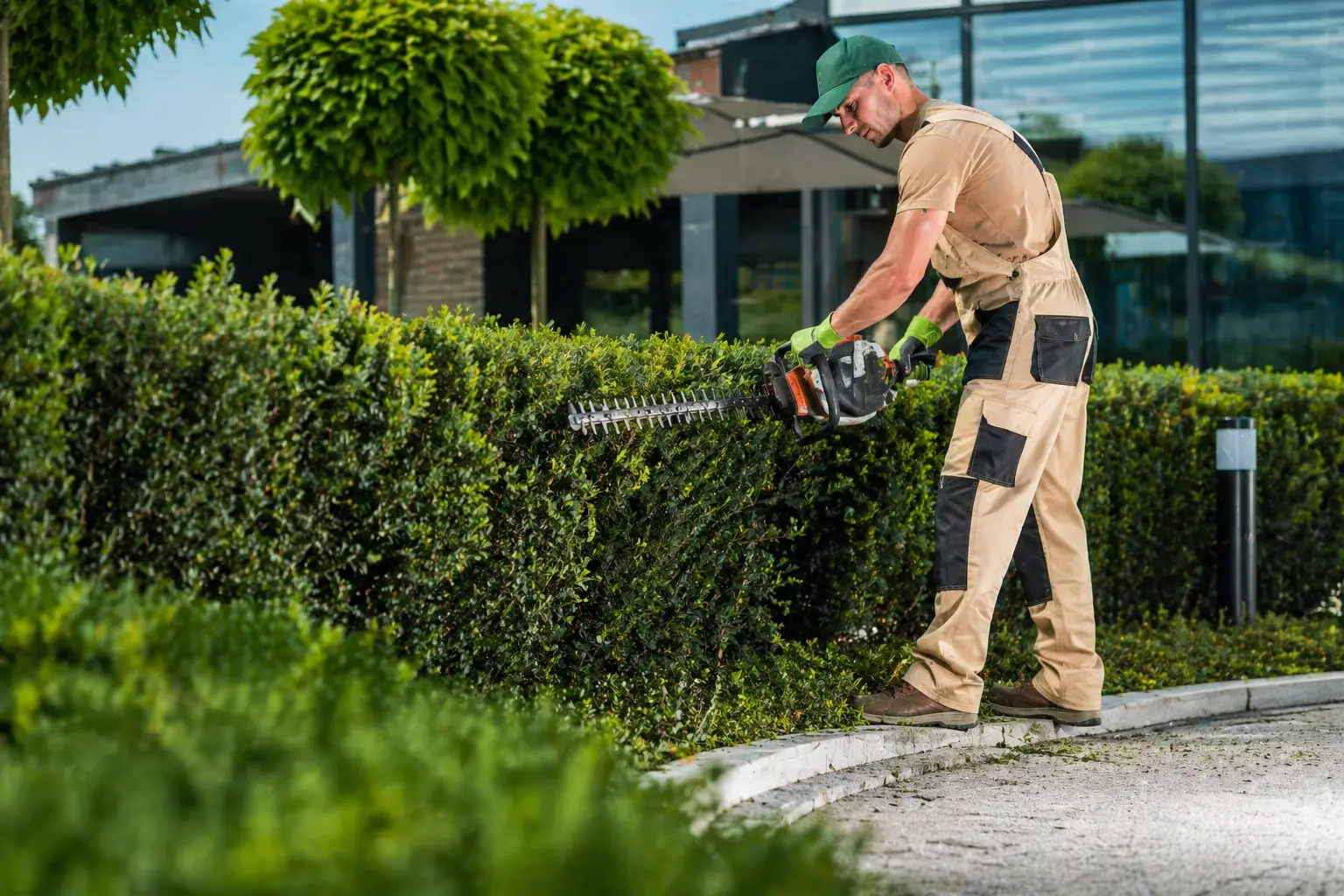 professionelle Grünpflege im Frühling durch Gärtner bei Hecken- und Rasenpflege